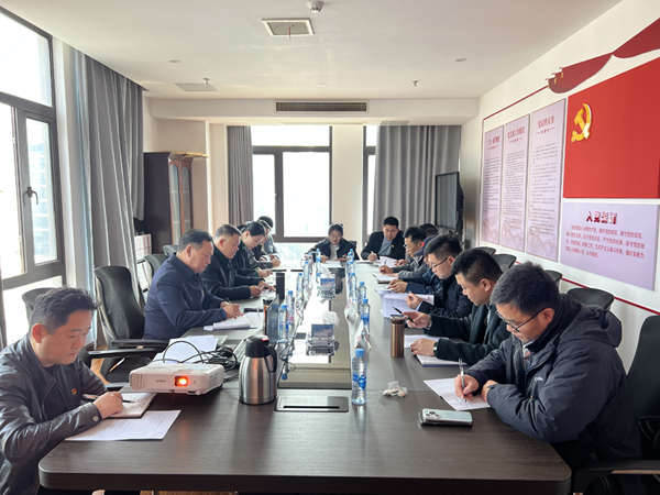 集團(tuán)黨委召開(kāi)2024年度組織生活會(huì)